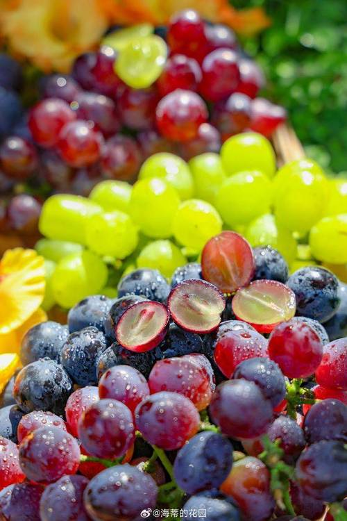 4399小游戏水果连连看怎么能消音啊?